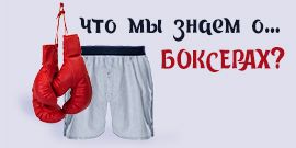 Что мы знаем о трусах-боксерах?